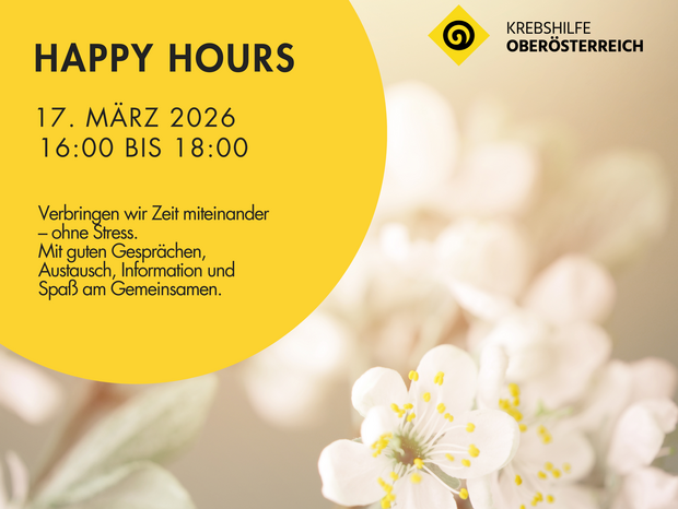 Bild von der Bl&uuml;te eines Marillenbaums