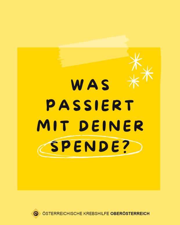 Spendenaufruf-Flyer: Was passiert mit deiner Spende?